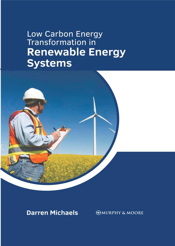 Low Carbon Energy Transformation in Renewable Energy Systems