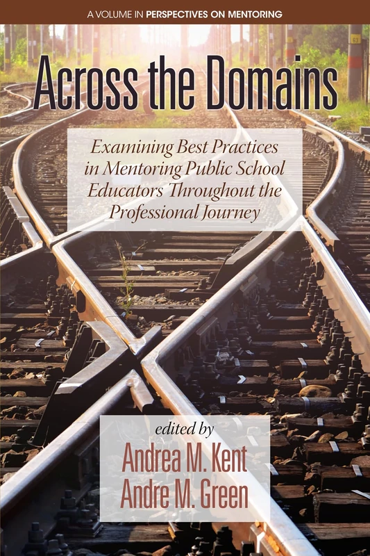 Across the Domains: Examining Best Practices in Mentoring Public School Educators throughout the Professional Journey (Perspectives on Mentoring)