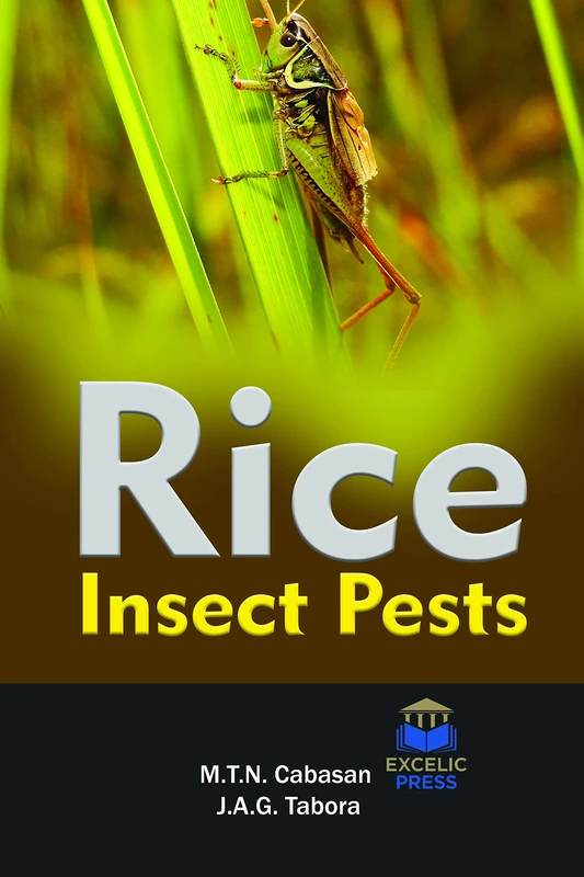 Rice Insect Pests