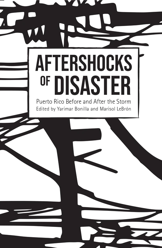 Aftershocks of Disaster: Puerto Rico Before and After the Storm - Image 1