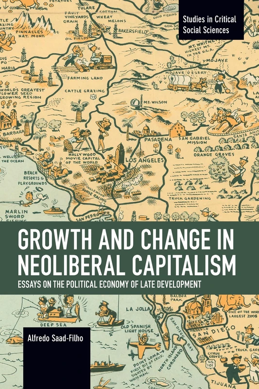 Growth and Change in Neoliberal Capitalism: Essays on the Political Economy of Late Development (Studies in Critical Social Sciences)