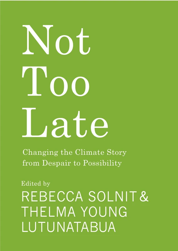 Not Too Late: Changing the Climate Story from Despair to Possibility - Image 1