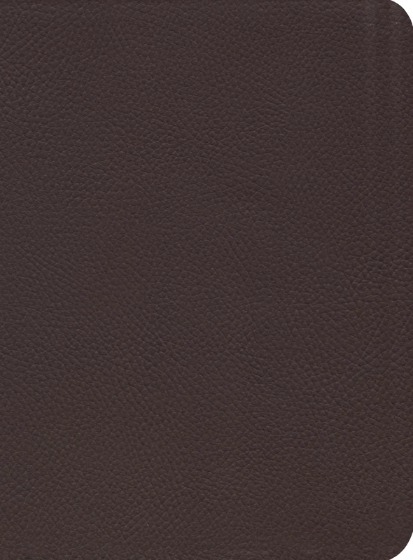 ESV Reformation Study Bible - Burgundy, Seville Cowhide