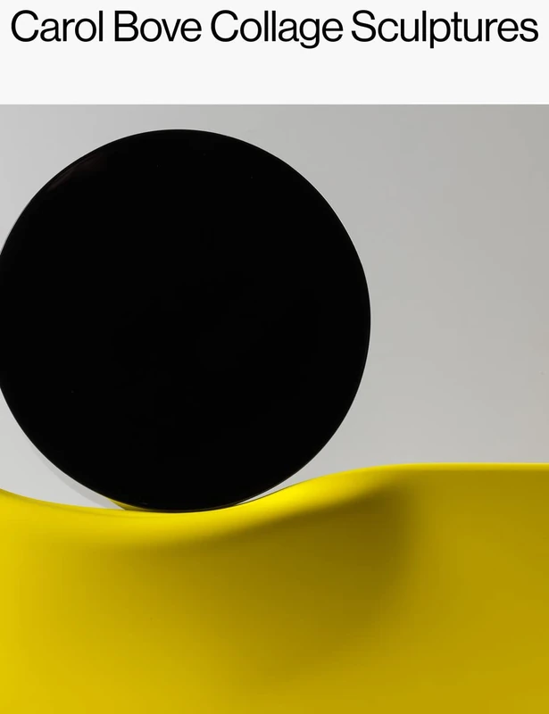 Nasher Sculpture Center - Carol Bove: Collage Sculptures Book