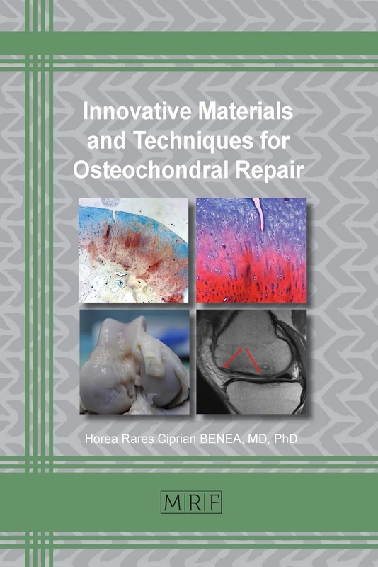 Innovative Materials and Techniques for Osteochondral Repair: 62 (Materials Research Foundations)