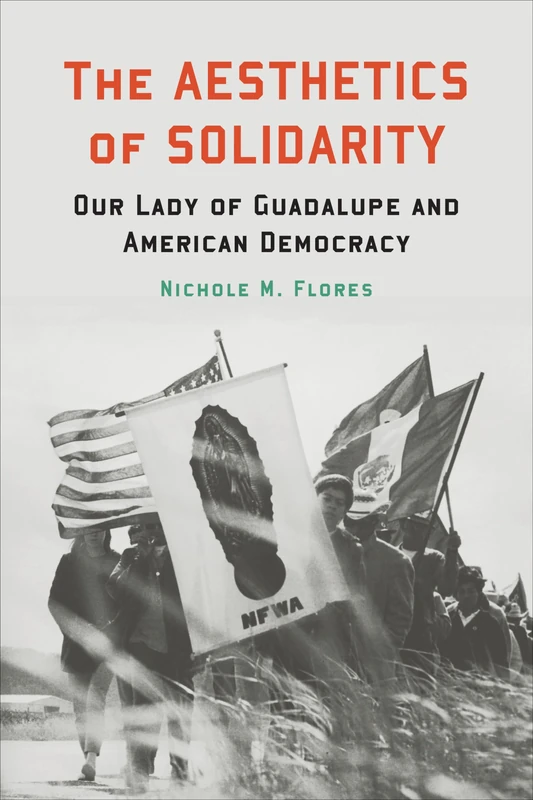 The Aesthetics of Solidarity: Our Lady of Guadalupe and American Democracy (Moral Traditions series)