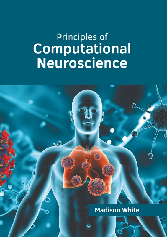 Principles of Computational Neuroscience