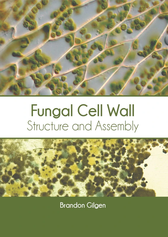 Fungal Cell Wall: Structure and Assembly