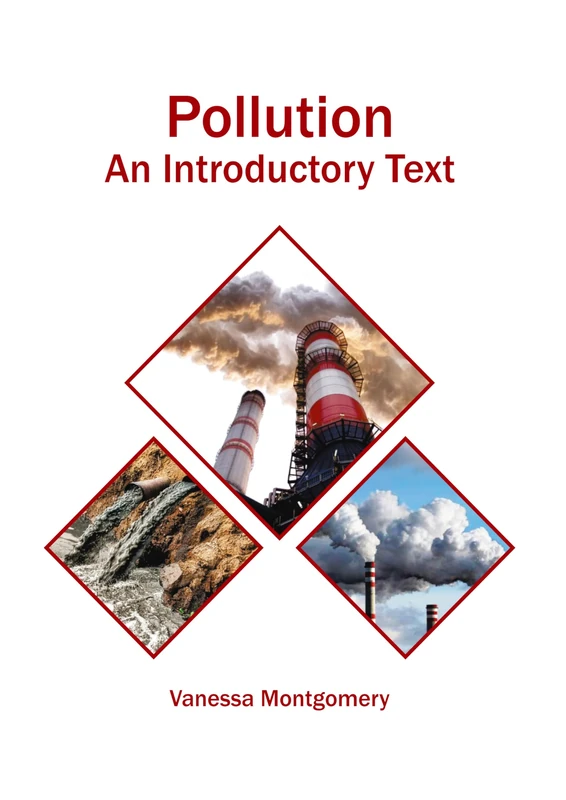 Pollution: An Introductory Text