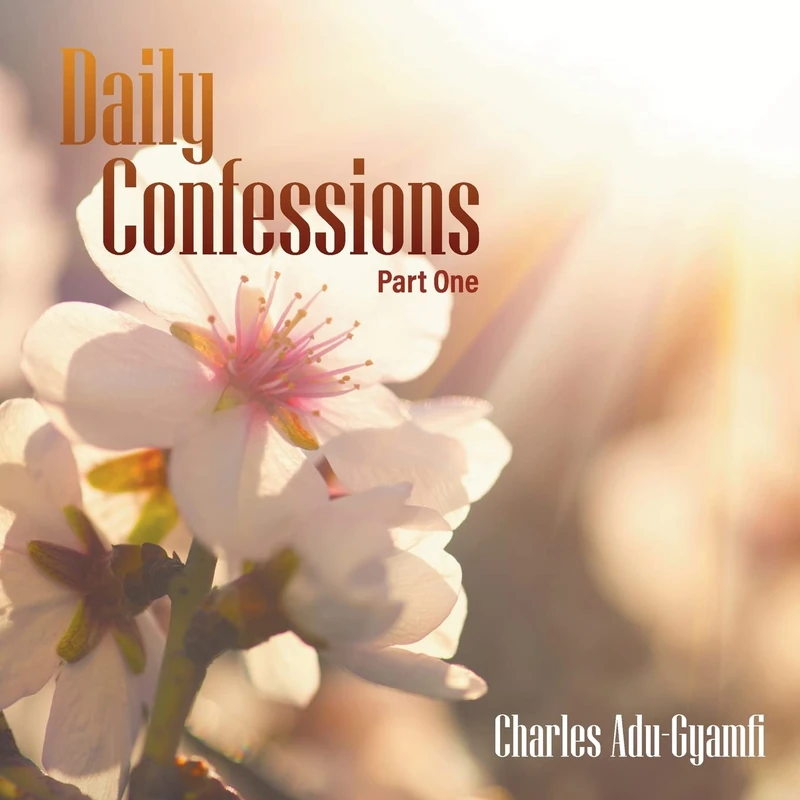 Daily Confessions - Image 1
