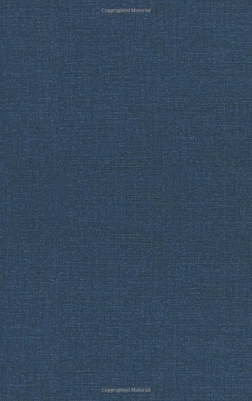 Rethinking Islamism beyond jihadi violence: Fighting ideas leaving the sword aside (Series in Sociology)