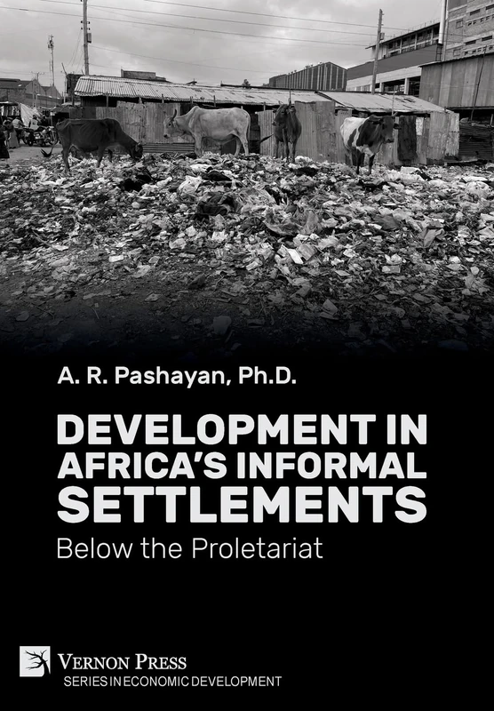 Development in Africa's Informal Settlements: Below the Proletariat (Series in Economic Development)