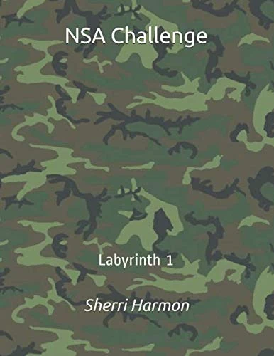 NSA Challenge: Labyrinth 1