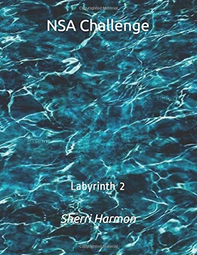 NSA Challenge: Labyrinth 2