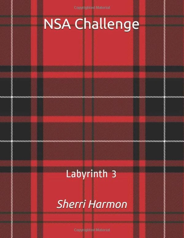 NSA Challenge: Labyrinth 3