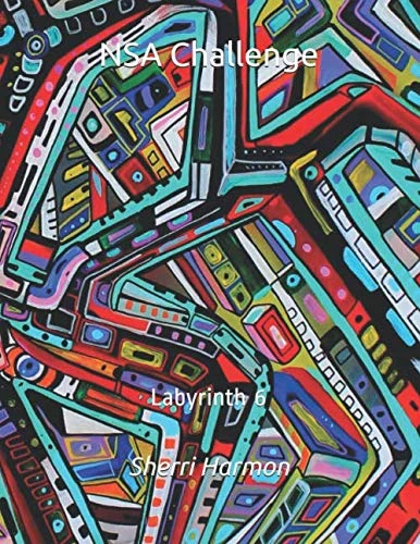 NSA Challenge: Labyrinth 6