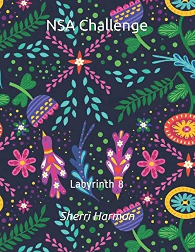 NSA Challenge: Labyrinth 8