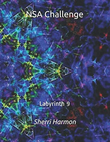 NSA Challenge: Labyrinth 9