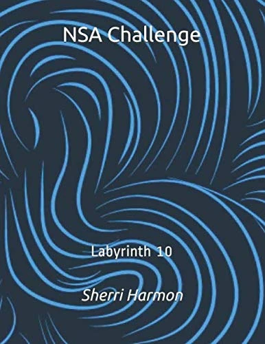 NSA Challenge: Labyrinth 10