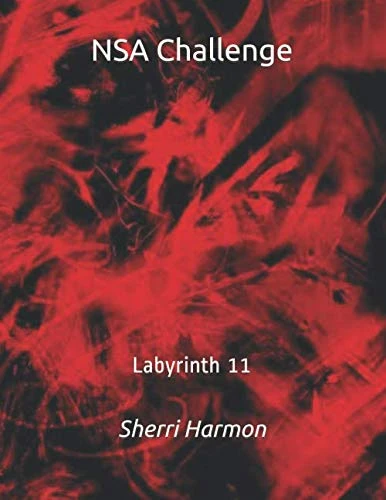 NSA Challenge: Labyrinth 11