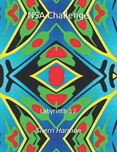 NSA Challenge: Labyrinth 12