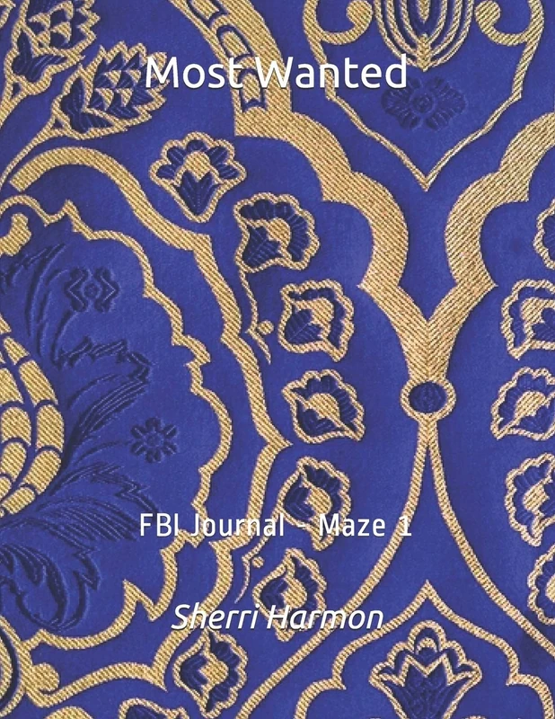 Most Wanted: FBI Journal - Maze 1
