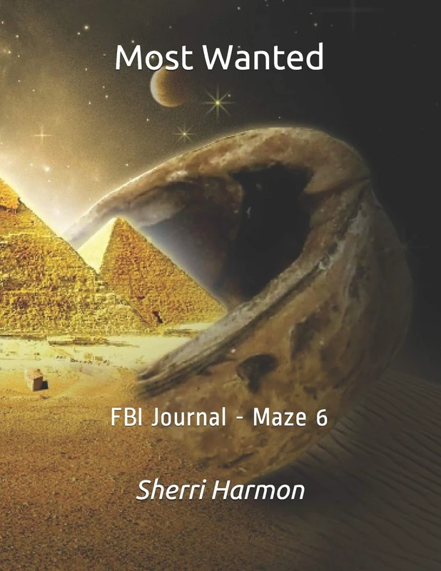 Most Wanted: FBI Journal - Maze 6 (Most Wanted (Potomac)) - Image 1