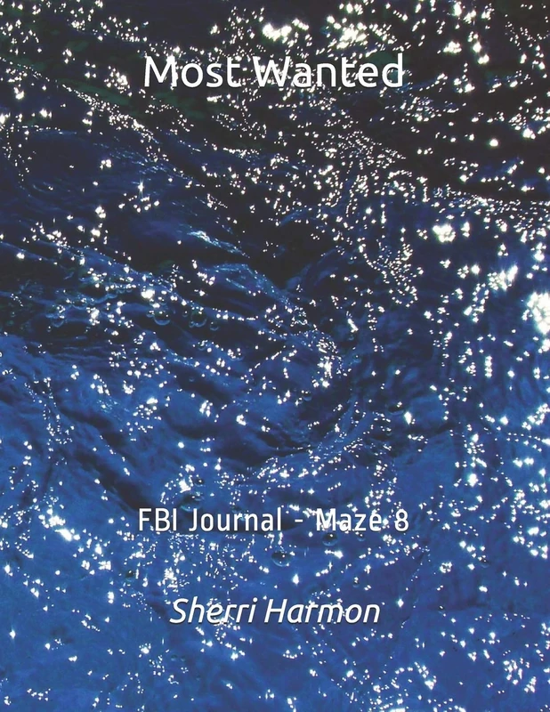 Most Wanted: FBI Journal - Maze 8