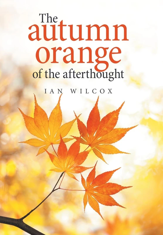 The Autumn Orange of the Afterthought - Image 1
