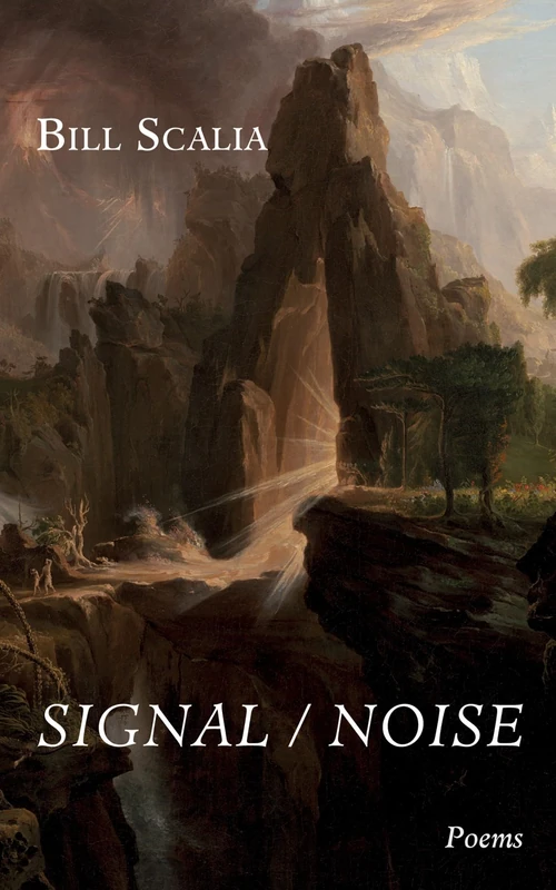 Signal / Noise: Poems - Image 1