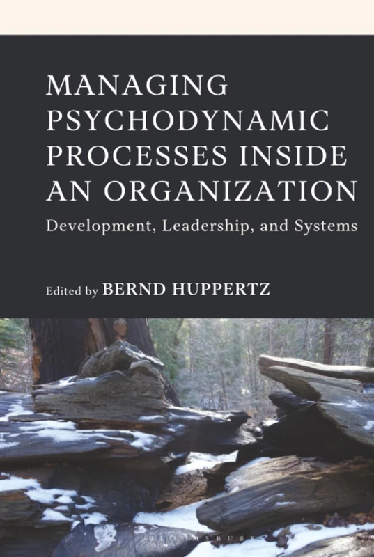 Managing Psychodynamic Processes Inside an Organization: Development, Leadership, and Systems