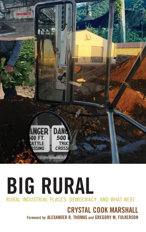 Big Rural: Rural Industrial Places, Democracy, and What Next (Studies in Urban–Rural Dynamics) - Image 1