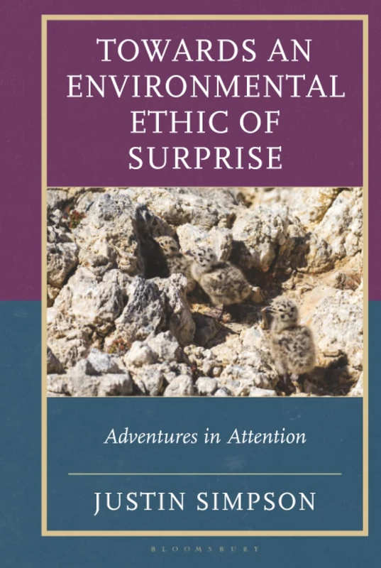 Towards an Environmental Ethic of Surprise: Adventures in Attention