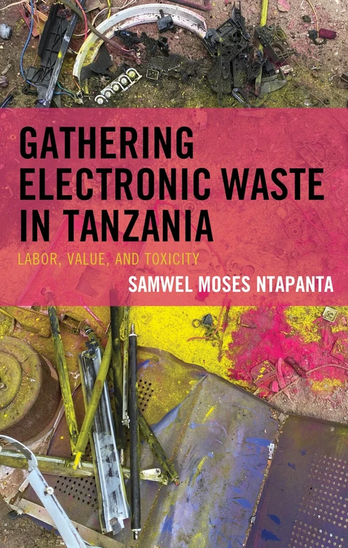 Gathering Electronic Waste in Tanzania: Labor, Value, and Toxicity - Image 1