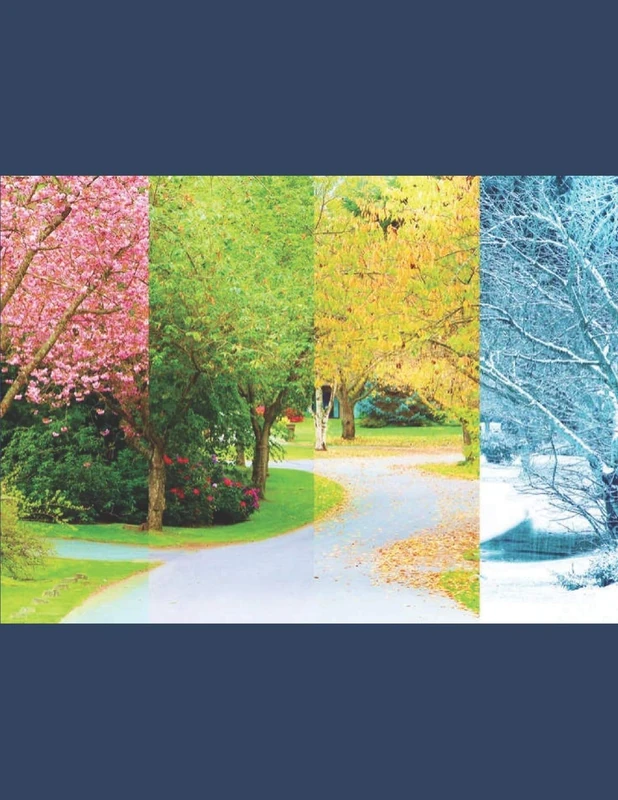 Order Of Seasons: Graphing Grids: 19 (Quotient of Desire)