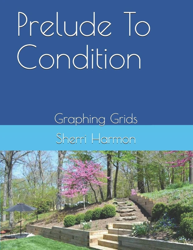 Prelude To Condition: Graphing Grids: 20 (Quotient of Desire)