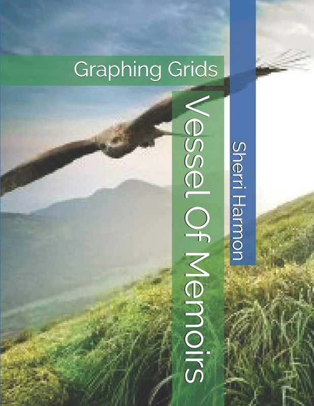 Vessel Of Memoirs: Graphing Grids: 24 (Quotient of Desire)