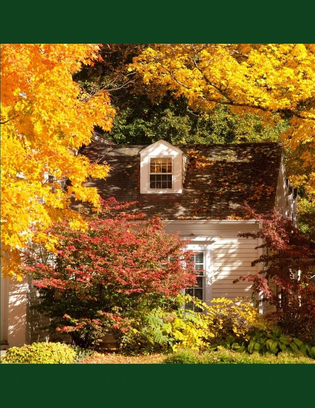 Pride Trees: Graphing Grids: 24 (Piers of Growth)