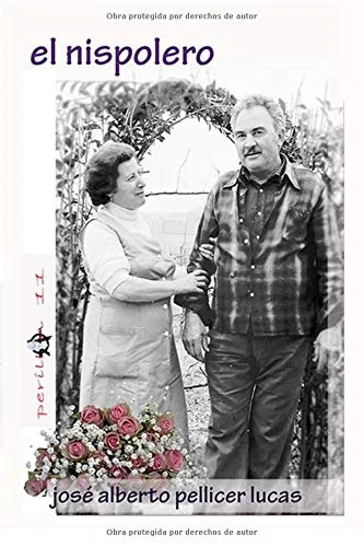 El nispolero (Perillán)