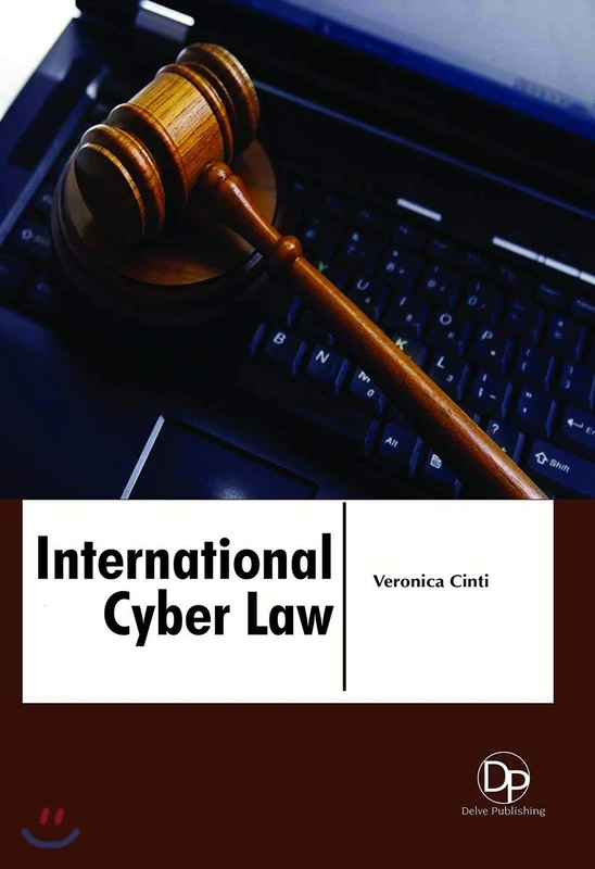 International Cyber Law - Delve Publishing Book
