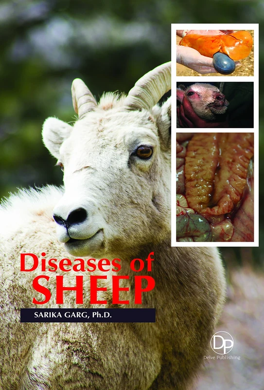 Diseases of Sheep