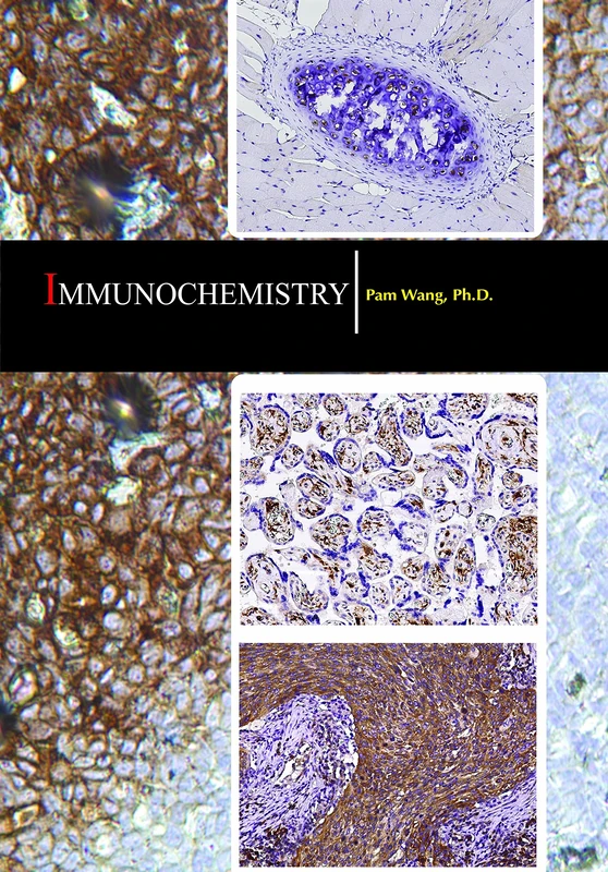 Immunochemistry - Medical Immunology Textbook by Delve Publishing