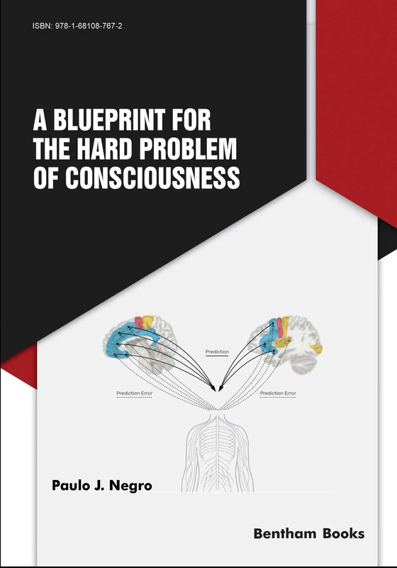 A Blueprint for the Hard Problem of Consciousness - Image 1