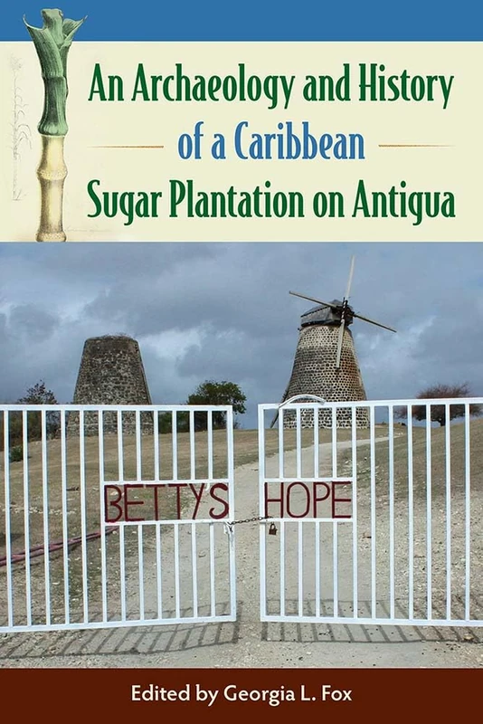 An Archaeology and History of a Caribbean Sugar Plantation on Antigua (Florida Museum of Natural History: Ripley P. Bullen Series)