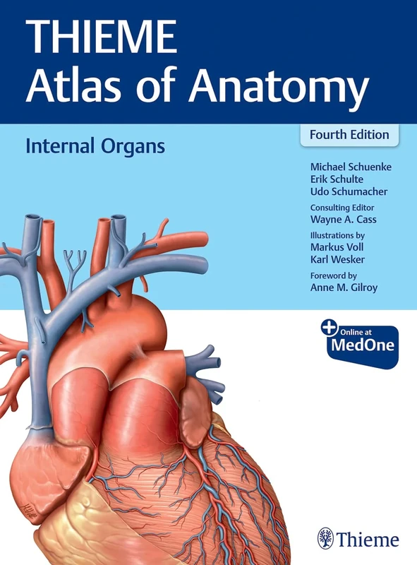 Internal Organs (THIEME Atlas of Anatomy) - Image 1