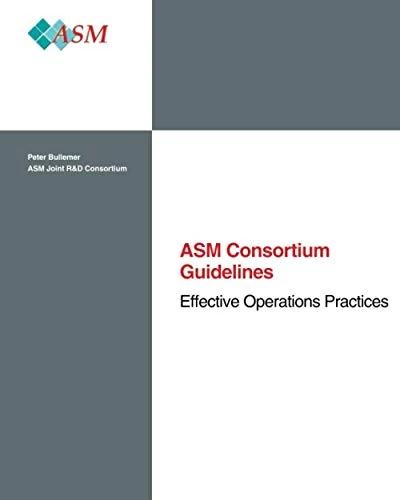 Effective Operations Practices: ASM Consortium Guidelines - Image 1
