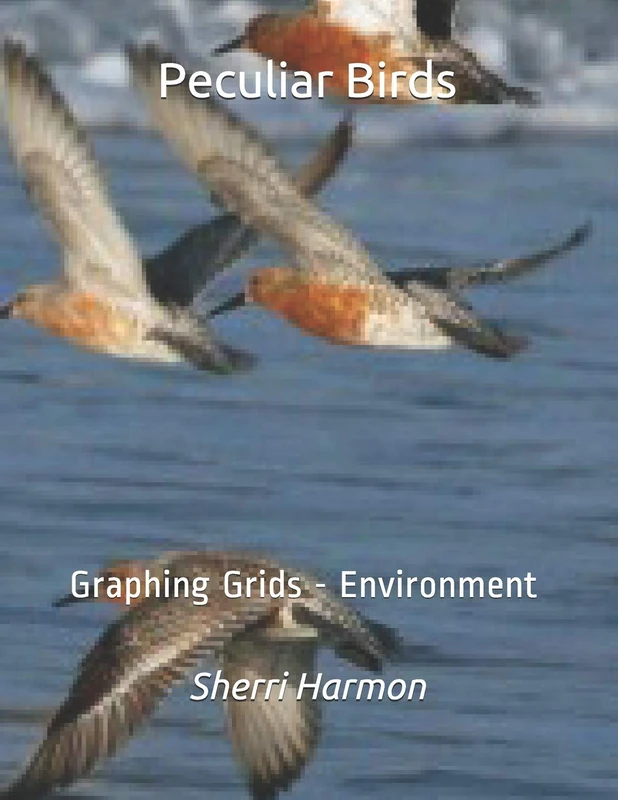 Peculiar Birds: Graphing Grids - Environment: 7 (Retro Scenes)