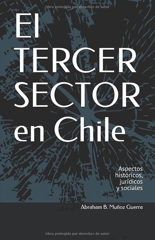 El Tercer Sector en Chile: Aspectos históricos, jurídicos y sociales