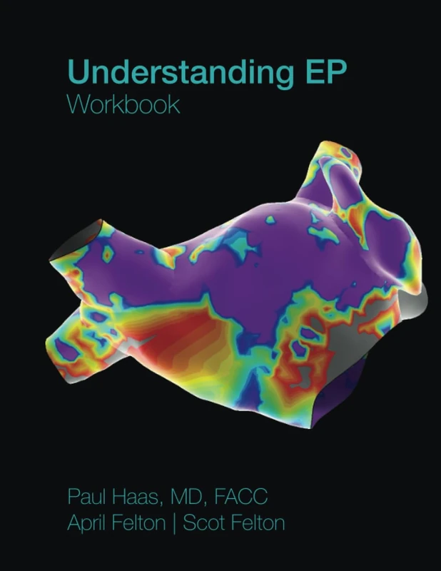 Understanding EP: Workbook: Part 2 of 2