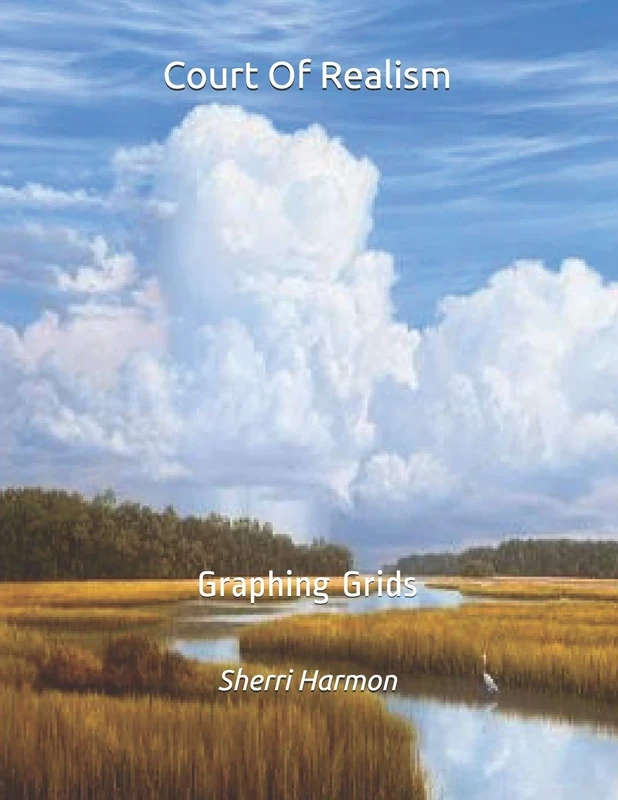 Court Of Realism: Graphing Grids